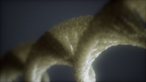 loop-double-helical-structure-of-dna-strand-close-up-animation